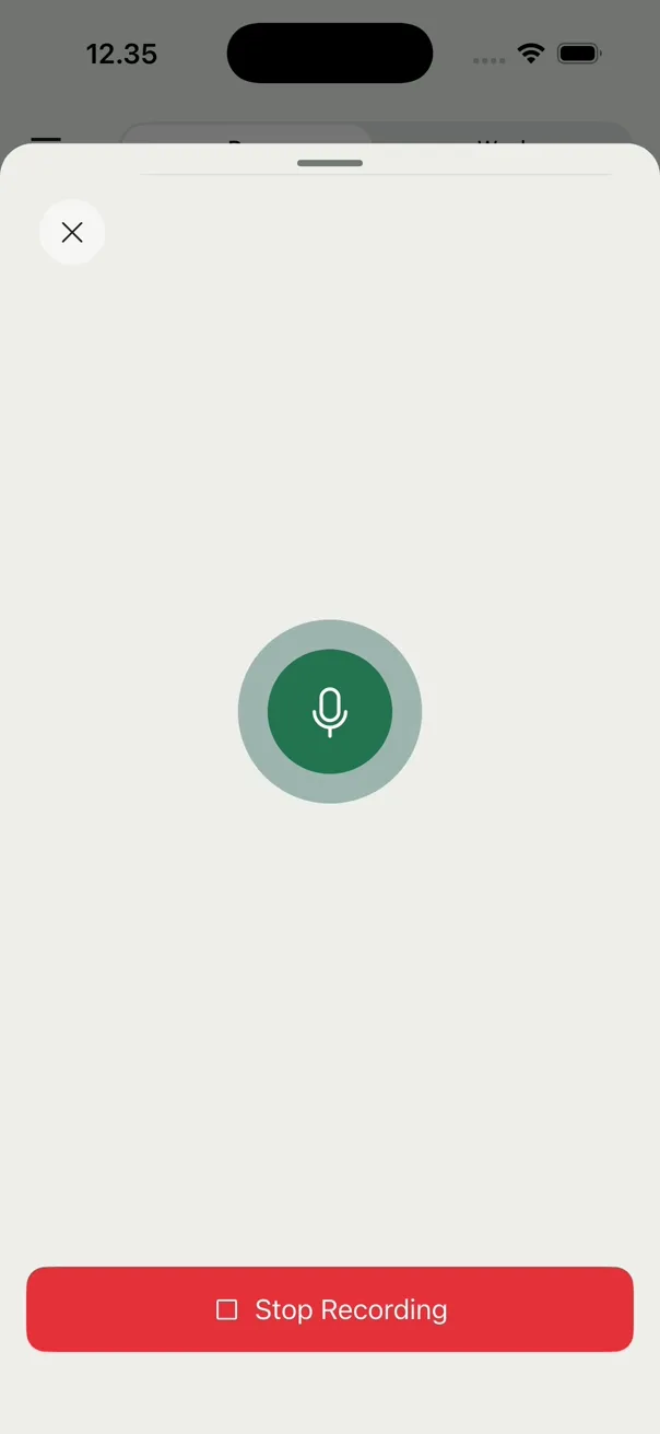 Voice recording in progress